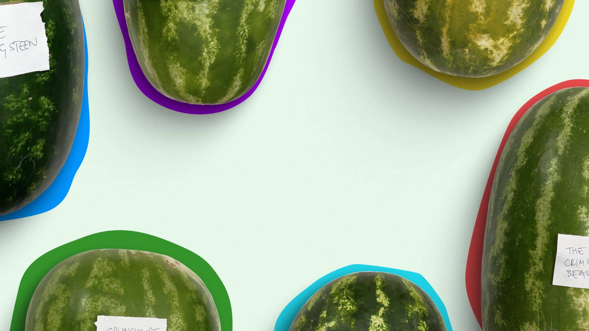 the-ai-watermelon-challenge